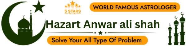 World Famous Hazart Anwar ali shah +91-9998873603